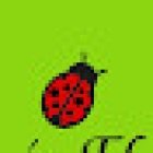 Olivia's Flowers CC El Ferial