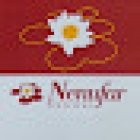 Floristería Nenúfar