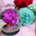 Floristeria Jazmin Parets