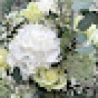 Kukkakauppa Florea