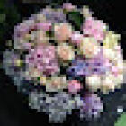 Aveny Blommor