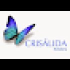 Floristería Crisalida en Elche | Envíos a domicilio | Experta en bodas