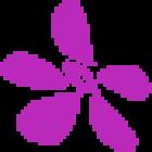 Turleys Florist