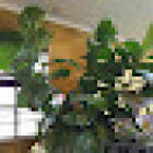 Pam's Flower Garden
