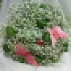 Floristería Flor Del Día