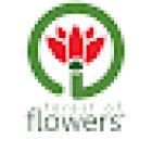 Forest of Flowers