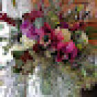 Belmont Flowers