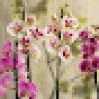 Floristeria El Racó de les Flors