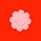Flor de Arena