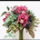 Floreria SAM´S