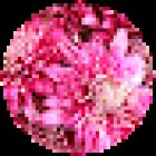 Floristeria La Campana San Antón