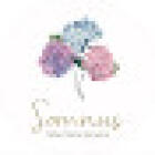 Floreria Somnus