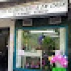 Tu Floristería en Casa