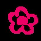 MATICES DISEÑO FLORAL