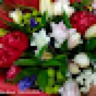 Floristería | Lore Bai | Loradenda