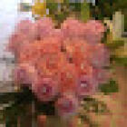 FLORERÍA SAYRA