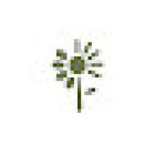 Flores del Sol