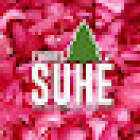 Flores Suhé (Florería)
