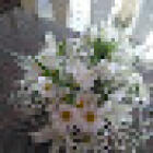 Del Cerro Florería