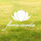 Floreria Concordia