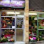 Floristería Flortique