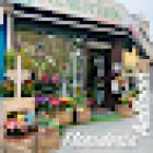 Anlloan Floristería