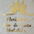 Floristeria Medellín -Floristería Flor De Loto Medellin