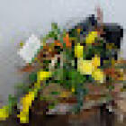 Floristería Alkala