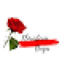 Floristeria Buga