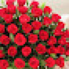 Floristería Pétalos Bello