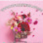 Tu Floristeria Online