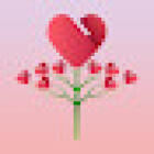 Floristería Pereira Online ????????????