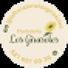 Arreglos florales en dosquebradas los girasoles
