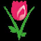 Floristeria Venus