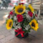 Floristería santa marta