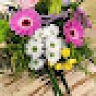 Floristería El Bosque de Marie