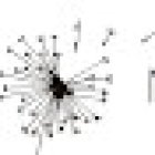 Natura floristeria - Leticia Pérez Paredes