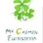 Floristería Mª Carmen