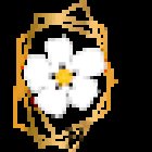 HANA Floristería y Complementos | Envío a domicilio