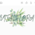 vitalflora taller floral valencia