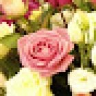 Floristeria Contxa Márquez