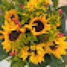 Floristería Naturplant