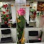 Floristeria Sanromà