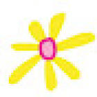 Spearwood Florist