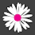Daisy Mae Florist