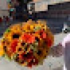 Floristería Terracota. El Manojo De Rosas