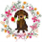 Ginger and Petals Florist