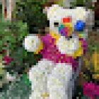 Floristeria Libertad