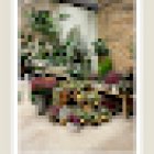 Floristería Romanos