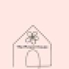 The Flower House